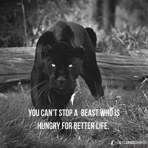 Be Hungry Quotes, World Hunger Quotes, Extreme Hunger Quotes, Hunger Quote, Unleash The Beast Quotes, Hungry Quotes, Beast Quotes, A Beast, Old Quotes