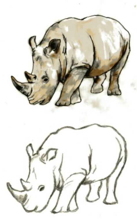 Rhino Watercolour Sketch Rhino Drawing Sketches, Rhino Watercolor Paintings, Zoo Animals Drawing, Rhino Outline, Rhino Sketch, Rhino Watercolor, Rhino Drawing, Rhino Illustration, Rhino Painting