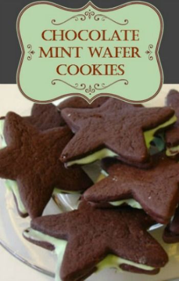 Wafer Cookies Recipe, Winter Cookies Recipes, Holly Cookies, Cookie Recipe Christmas, Wafer Cookie Recipe, Refrigerator Cookies, Awesome Desserts, Winter Cookies, Dark Chocolate Cookies