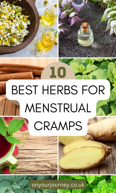 Best Herbs For Menstrual Cramps, Herbal Remedies For Period Cramps, Foods For Menstrual Cramps, Teas For Menstrual Cramps, Remedies For Menstrual Cramps Home, Herbs For Menstruation, Herbs For Cramps, Herbal Tea For Menstrual Cramps, Natural Remedies For Menstrual Cramps