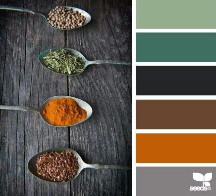 This picture incorporates several colors I'd like for the living room, beginning with a brown sofa. Include orange and both blues Seeds Color, Trendy Living Rooms, Design Seeds, Colour Board, Color Textures, Colour Schemes, Color Pallets, Color Swatches, Room Colors