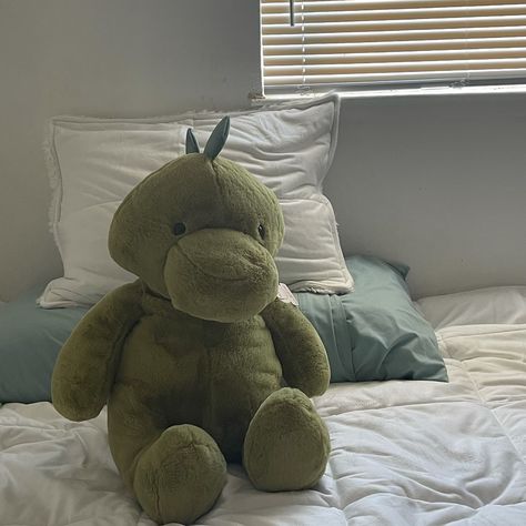 Green Teddy Bear, Cute Squishies, Au Ideas, Dinosaur Plush, Dinosaur Toys, Wearable Blanket, Cute Room Decor, Birthday Gift Ideas, Soft Toy