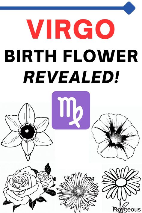 Virgo Birth Flower Plants For Virgo, Virgo Flower Tattoo September, Virgo Birth Flower, Zodiac Art Virgo, Virgo Flower Tattoo, Flower And Meaning, Virgo Flower, Virgo Symbol, Variety Of Flowers