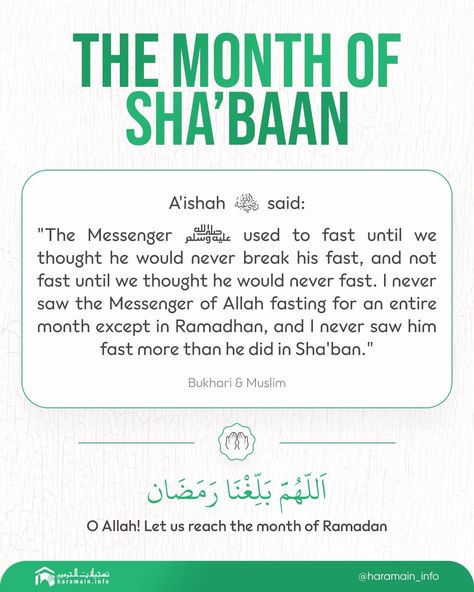 The month of Shaban #Allah #Quran #hadeeth #sunnah #quranverse #quranquotes #muslim #islam #islamicquotes #dua #islamicreminders #muslimpins #SubhanAllah #Alhamdulilaah #Bismillah #Islamicpins #islamicinfo #tawheed #aqeedah #tawakkul #taqwa Shaban Month Quotes, Shaban Month, Islamic Months, Ramadan Day, The Messenger, Islamic Inspirational Quotes, Way Of Life, Islamic Quotes, Words Quotes