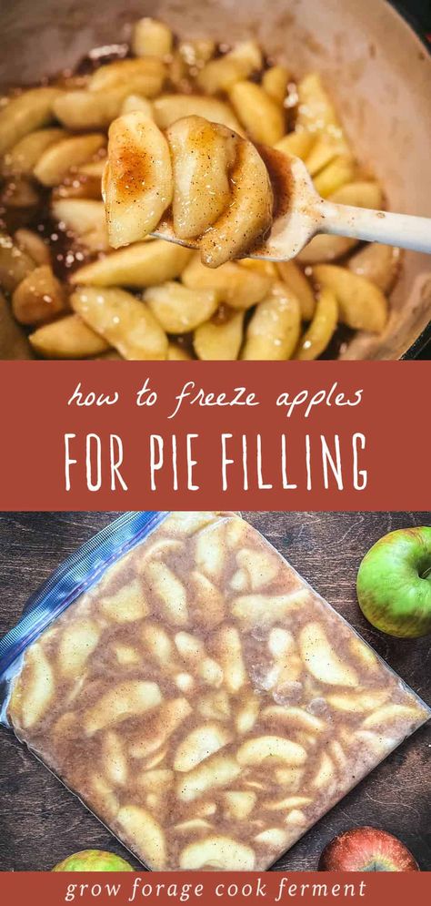 Want to start freezing apples for pie? This guide for make ahead apple pie filling is one the best, easy apple recipes for fall. This method preserves the freshness and flavor of apples, making baking homemade apple pie a piece of cake! Made without cornstarch, this simple apple pie filling is thickened with arrowroot powder. Find more easy fall recipes, fall seasonal foods, and long term food storage at growforagecookferment.com. How To Freeze Apples, Apples For Pie, Freezer Apple Pie, Freezing Apple Pie, Freeze Apples, Freezer Apple Pie Filling, Quick Apple Pie, Easy Apple Pie Filling, Seasonal Recipes Fall