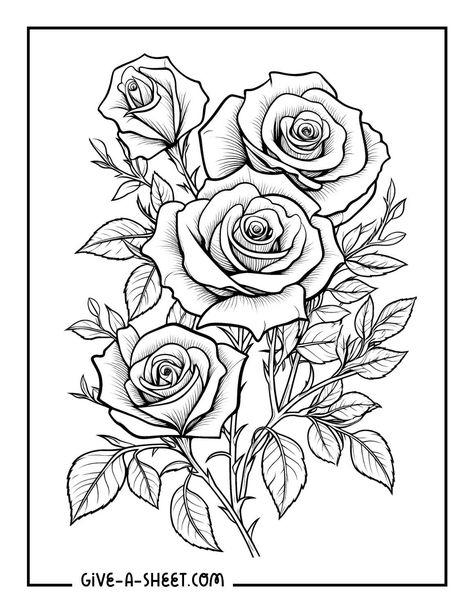 Four roses with leaves tattoo coloring page. Poppy Coloring Page, Rose Coloring, Flower Coloring Sheets, Sunflower Coloring Pages, Printable Flower Coloring Pages, Rose Coloring Pages, Rose Patterns, Rose Sketch, Pattern Coloring Pages