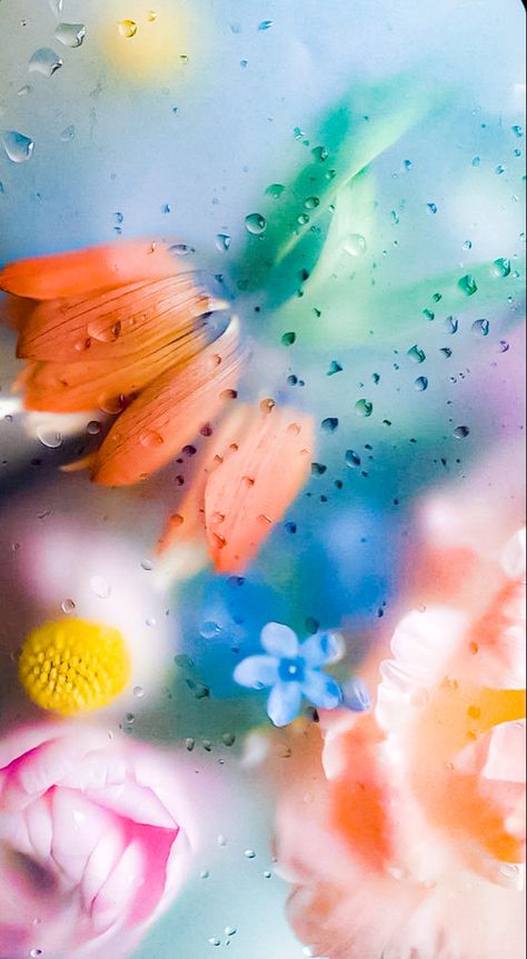 Flowers Frosted Wallpaper, Frosted Wallpaper Iphone, Wet Flowers Under Glass Wallpaper, Flowers And Water Wallpaper, Spring Pastel Aesthetic Wallpaper, Wet Flowers Wallpaper Aesthetic, Flower Under Glass Wallpaper, Frosted Flowers Wallpaper Iphone, Frosted Flower Wallpaper