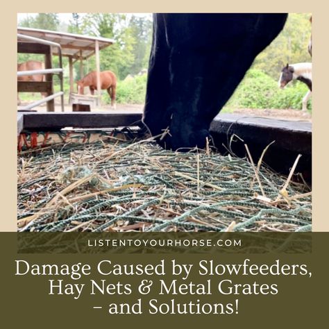 Laundry Basket Hay Feeder, Hay Slow Feeder For Horses, Diy Slow Feeder Horses, Diy Covered Hay Feeder For Horses, Diy Horse Hay Slow Feeder, Horse Feeder Ideas Stalls, Outdoor Hay Feeder For Horses, Horse Slow Feeder Ideas, Slow Hay Feeder For Horses