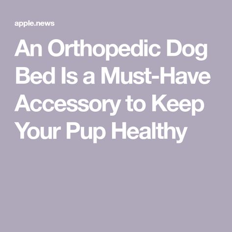 An Orthopedic Dog Bed Is a Must-Have Accessory to Keep Your Pup Healthy Orthopedic Dog Bed, Better Homes And Gardens, Better Homes, Dog Bed, Must Haves, Home And Garden, Bed, Dogs