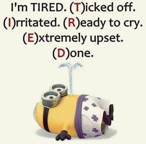 #Capri #Jewelers #Arizona ~ www.caprijewelersaz.com  ♥ Funny Minion Pictures Of The Week Minions Pictures, Disney Humor, Minion Humour, Minions Humor, Funny Minion Pictures, Minion Pictures, Minion Jokes, Minions Love, A Minion