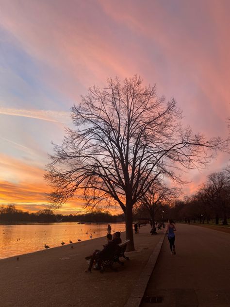 Hyde Park Ny, Hyde Park London, London Aesthetic, Aesthetic Sunset, Hyde Park, Outlet, London, Art, Nature