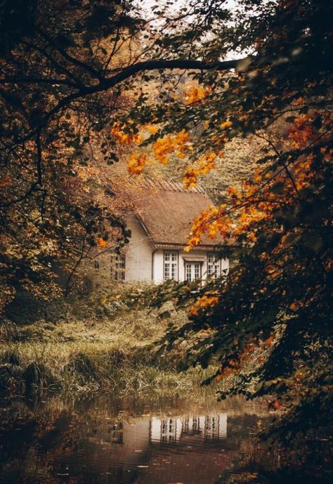 Autumn Witch, Cottage In The Woods, Autumn Beauty, Autumn Landscape, Autumn Cozy, Autumn Aesthetic, Autumn Photography, Autumn Day, Autumn Home