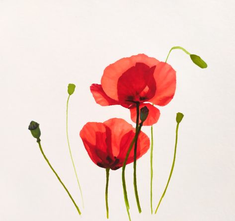 Poppies painting sketch alcohol markers botanical art Alcohol Marker Flowers, Alcohol Marker Drawings Flowers, Flower Alcohol Marker Drawing, Flowers Alcohol Markers, Alchohal Markers, Sketch Markers, Alcohol Markers, Flower Drawing, Flower Cards