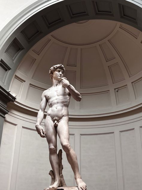 The statue of David is a masterpiece of Renaissance art, representing a remarkable depiction of anatomical perfection and human expressiveness. The Statue Of David, Statues Art, Statue Of David, Magnum Opus, Dark Academia Aesthetic, Academia Aesthetic, Male Body, Ancient Greek, Dark Academia