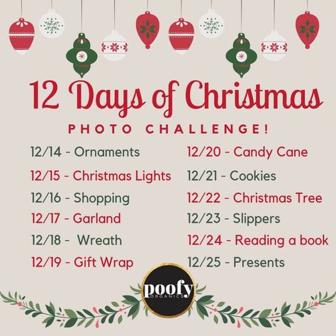 12 Days Of Christmas Social Media Ideas, Christmas Social Media Ideas, Christmas Photo Challenge, Christmas Social Media, Social Media Ideas, Christmas Photo, 12 Days Of Christmas, Photo Challenge, 12 Days