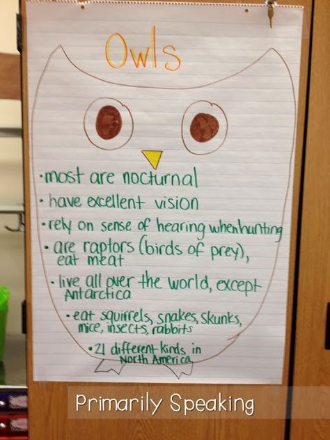 Owl Learning Activities, Owls Kindergarten, Owl Preschool, Owl Writing, Owl Activities, Owl Pellets, Owl Classroom, Owl Moon, Fall Preschool