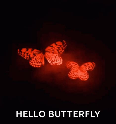 Butterfly Wings Flapping GIF - Butterfly Wings Flapping Red - Discover & Share GIFs Red Aesthetic Gif, Butterfly Gif, Butterfly Video, Devil Aesthetic, Rainy Day Aesthetic, Aesthetic Grunge Tumblr, Nostalgia Aesthetic, Banner Gif, Banner Images