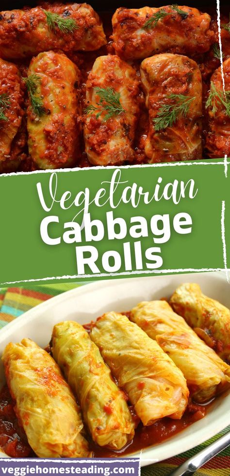 Vegetable Cabbage Rolls, Vegan Easter Meals, Sauerkraut Cabbage Rolls, Vegetarian Meals With Cabbage, Vegetarian Recipes Dinner Main Dishes, No Rice Cabbage Rolls, Rice Cabbage Recipes, Vegetarian Recipes Cabbage, Cabbage Recipe Vegetarian