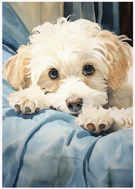 Dog Portraits Illustration, Poodle Drawing, Portraits Painting, Dog Watercolor Painting, Maltipoo Dog, Dog Portraits Painting, Dog Portraits Art, Watercolor Dog Portrait, Wal Art