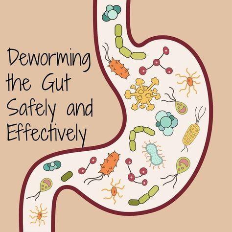 Some natural deworming methods that work and are safe for eliminating parasites from the gut. It is even safe enough for children. #humans #health #kids #children #healthygut #deworming #thehealthyhomeeconomist Parasitic Worms, Intestinal Parasites, Parasite Cleanse, Leaky Gut, Natural Health Remedies, Alternative Health, Natural Home Remedies, Back To Nature, Health Info