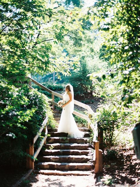 Bridal Portraits Outdoor, Christmas Wedding Themes, Garden Engagement Photos, Portraits Outdoor, 2023 Prom, Garden Engagement, Childhood Dream, Memories Photography, Raleigh Wedding