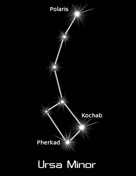 Printable Ursa Minor constellation for Simulation Room day 2 Homeschool Astronomy, Galaxy Bedroom, Outer Space Planets, Seventh Day Adventist Church, Ursa Minor, Constellation Tattoo, Star Constellation, Ursa Major, Writing Prompts For Writers