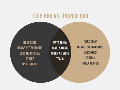 Tech Bro, Finance Bro, Venn Diagram, Tesla, Apple Watch, Pie Chart, Finance, Coding, New York