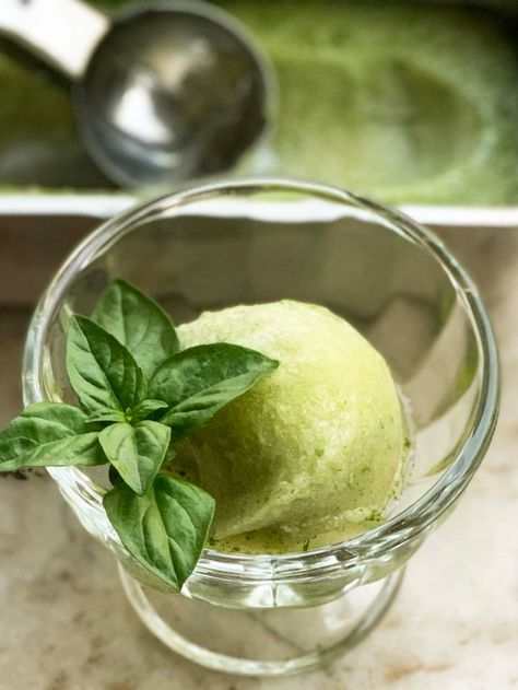 Lemon Basil Sorbet Basil Sorbet, Lemon Sorbet Recipe, Basil Ice Cream, Lime Sorbet, Gelato Recipe, Capri Island, Ice Cream Maker Recipes, Summer Foods, Lemon Sorbet