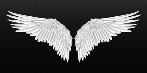 Fb Cover Photo Hd, Realistic Wings, Angel Wings Clip Art, Angel Wings Png, Illustration Bird, Wings Png, Harley Davidson Artwork, Mom In Heaven, Fb Cover Photos