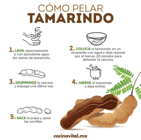 Si te encanta disfrutar del delicioso sabor de una refrescante agua de tamarindo, te iremos cómo elar tamarindo para que prepares toda la que quieras. Tamarindo, Energy Drink, Energy Drinks, Cooking Tips, Seeds, Fruit