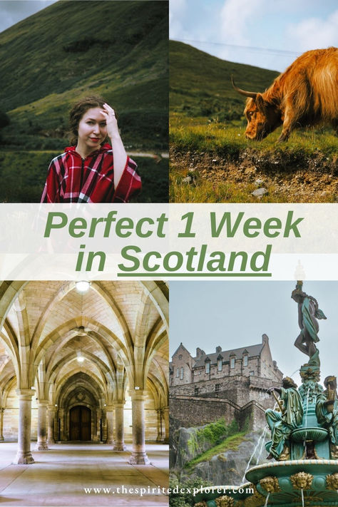 1 week in Scotland showing the Highlands, Higland Cows, University of Glasgow, and Edinburgh Castle 6 Days In Scotland, 7 Days In Scotland, Scotland Itinerary, Explore Travel, Scotland Travel, Road Trip Usa, Scottish Highlands, Travel Advice, Glasgow