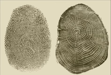 "Personalized fingerprint tree ring art I've had several people request personalized tree ring and fingerprint artwork. So, for a limited time, I'm offering to do personalized artwork where you can use your own of a loved ones fingerprint and I'll combine it with a tree ring print. I can customize everything about these images including color and size. Just reach out and let me know what you have in mind. It's a beautiful way to depict the connection of humans with nature.  I make these prints with archival ink and paper, so they are made to last generations. I travel to meaningful places to find wood from previously fallen trees. In a way, I'm just publishing the story of a place as written by a tree over decades and sometimes hundreds of years. I sign each print because I stand by my wor