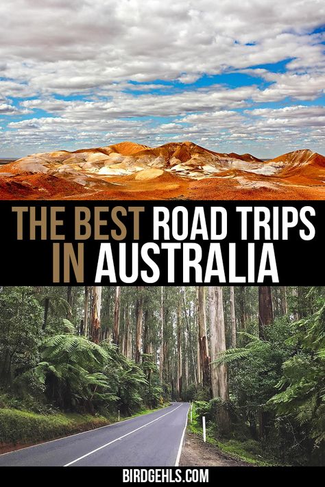 To road trip #Australia is an epic adventure indeed - whether you're taking on a trip spanning thousands of kilometres and many weeks, or a smaller journey to a local sight. Here are some ideas for road trips in Australia, to get you started with your trip planning. / #TravelTipsAustralia / #RoadTrips / #SeeAustralia / Road Trip Itineraries Australia / Australia Travel Inspiration / Road Trip Australia, Australia Road Trip, Roadtrip Australia, Australian Road Trip, Australia Itinerary, Perfect Road Trip, Australia Travel Guide, Australian Travel, Oceania Travel