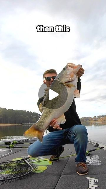 Fishing Tricks, Bass Fishing Videos, Bass Bait, Diy Fishing Lures, Fishing Rod Rack, Trout Fishing Tips, Bass Fishing Tips, Fishing Diy, Fishing Knots