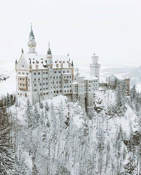 In the land of fairytales 🏰 ~ Neuschweinstein Castle, Germany ��� Old Castle, White Castle, Neuschwanstein Castle, A Castle, Castle, Germany, Trees, White, Instagram