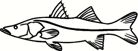 Snook Fish Coloring Page Snook Tattoo, Ministers Of India, Fish Coloring, Simple Tattoos For Guys, Fish Drawing, Fish Coloring Page, Family Logo, Underwater Art, Corn Hole