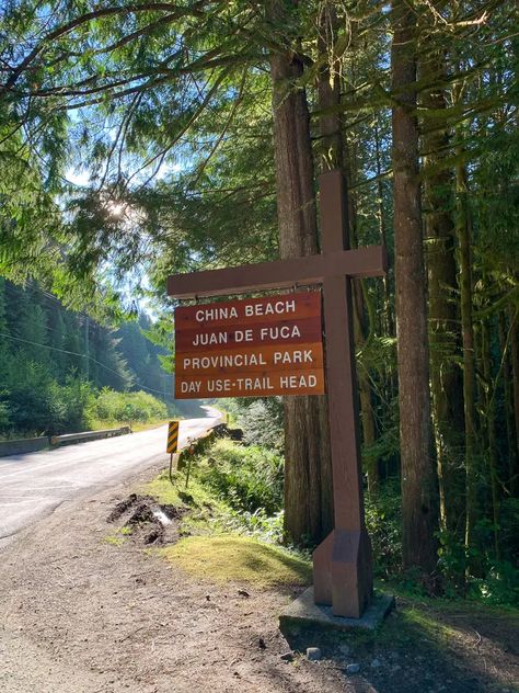 Hiking The Juan De Fuca Marine Trail | Outdoor Vancouver Coastal Forest, Board Collage, China Beach, Vision Board Collage, West Coast Trail, West Coast Road Trip, Trail Hiking, Hiking Guide, Camping Area