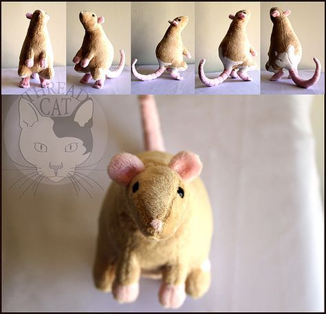 Plush Fancy Rat Rat Plush, Rat Art, Pet Rat, Fancy Rat, Felt Animal Patterns, Pet Sweaters, Knit Toys, Felt Animal, Cute Sewing Projects