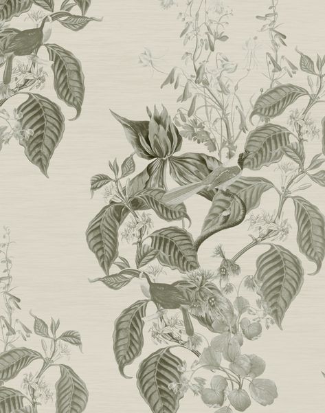 Aviary Isle, French Grey Gray Romantic, Illustrated Wallpaper, Cinder Rose, Toile Design, French Gray, Luxury Textiles, French Toile, French Grey, Wallpaper Designs