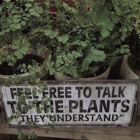 Delilah Core, Plant Lover Aesthetic, Fotografi Vintage, Plant Mom, Cool Stuff, Infp, Green Aesthetic, A Sign, Pretty Words