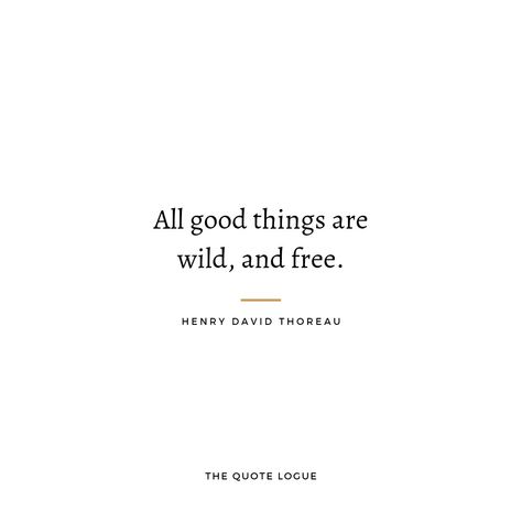 Walden Henry David Thoreau, Walden Tattoo, Henry David Thoreau Quotes Nature, Henry David Thoreau Tattoo, Henry Thoreau Quotes, Thoreau Quotes Walden, Walden Quotes, Transcendentalism Quotes, Nature Quotes Simple