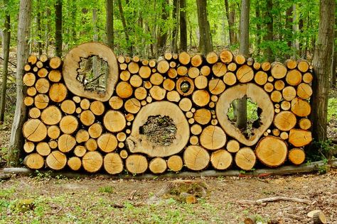 Stacked Wood Wall, Stacking Wood, Garden Wall Designs, Cord Wood, Natural Fence, Privacy Fence Designs, Fa Fal, Wood Shed, Creative Gardening