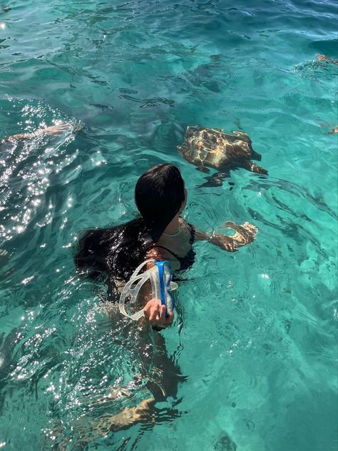 Swimming With Turtles Aesthetic, Swimming With Sea Turtles, Sea Turtles Aesthetic, Swimming With Fish, Swimming With Turtles, Swim With Turtles, Turtle Snorkeling, Las Bahamas, Swimming Turtle