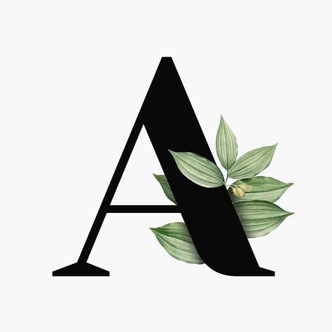 Download free vector of Botanical capital letter A vector by Aum about a letter, leaf, Floral letter A, botanical, and letter a botanical 2649609 Letter A Font, Botanical Capital Letter, A Font, Font Design, Letter A, Premium Vector, Floral Design, Floral, Design