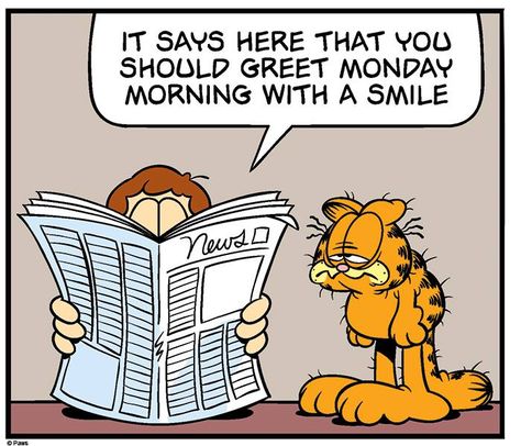 Start each day with a smile and get it over with. Garfield Monday, Monday Morning Humor, Garfield Quotes, Art Design Inspiration, Monday Morning Quotes, Line Graphic, I Hate Mondays, Monday Memes, Garfield And Odie