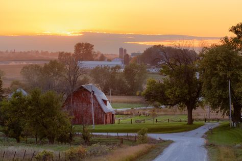 Iowa Photography, Iowa Landscape, Midwest Landscape, Iowa Farms, Landscape Inspiration, Farm Photography, Gravel Road, Rural Scenes, Farm Buildings