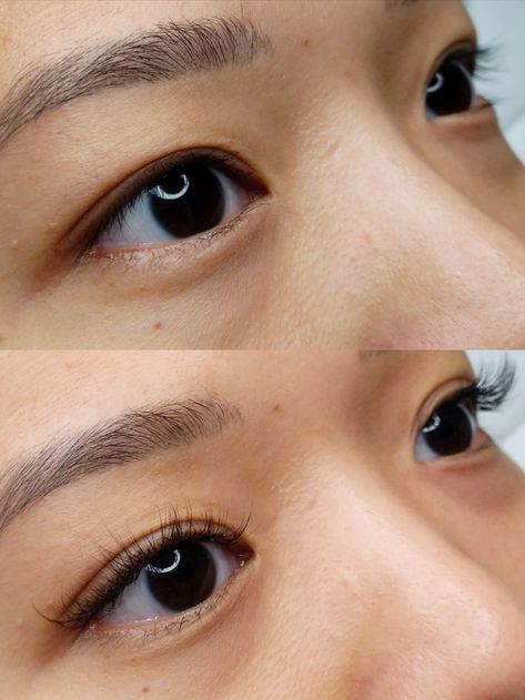 Picture of Hybrid Lash Extensions for Asian Eyes.  Hybrid Lash Extension Mapping on Asian Eyes. Lash Artist in Atlanta & Dallas by GentlyLashed specializing in a soft, natural lash style. Has services such as Classic Lash Extensions, Hybrid Lash Extensions, Volume Lash Extensions, Lash Lift and Tints, Upper and Bottom Lash Lifts, and Colored Lashes. Lash Extensions For Asian Eyes, Eyebrow Shapes For Round Faces, Natural Looking Lash Extensions, Hybrid Lash Extensions, Different Eyebrow Shapes, Eyelash Extensions Before And After, Hybrid Lashes, Perfect Eyebrow Shape, Eyebrow Shapes