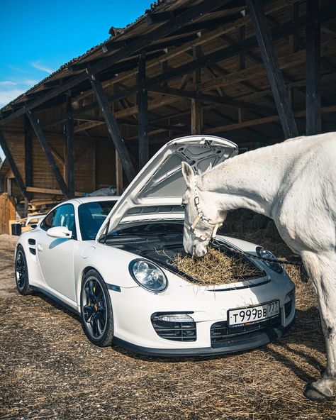 Porsche Worldwide Community on Instagram: “Cars and horses by @carsandwines” Best Soccer Shoes, Equestrian Aesthetic, Porsche Club, Luxurious Cars, Horse Aesthetic, Best Luxury Cars, Porsche Cars, Cute Horses, December 22