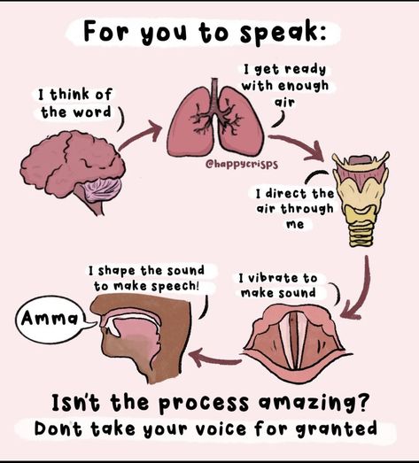 Speech Therapy Aesthetic Wallpaper, Speech Language Pathology Wallpaper, Slp Assistant, Dysarthria Therapy Activities, Slp Wallpaper Iphone, Speech Anatomy, Slp Wallpaper, Slp Student, Speech And Language Therapy Aesthetic