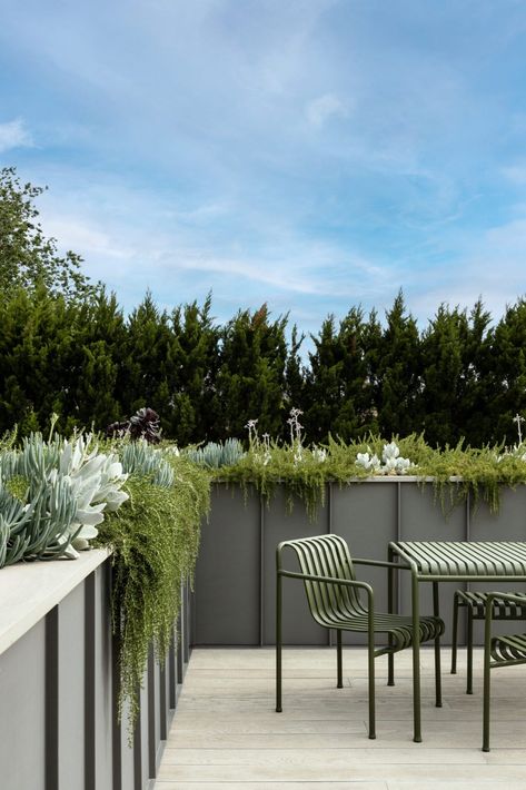 Rooftop Terrace Garden, Tiny Patio, Terrace Building, Melbourne Home, Balcony Planters, House Cladding, Rooftop Terrace Design, Rooftop Design, Balcony Plants